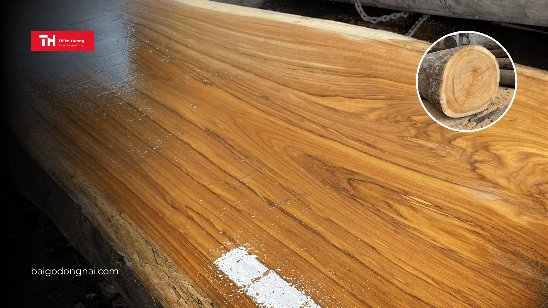 Gỗ Thô Là Gì? Tất Tần Tật Về Giá Trị, Ứng Dụng & Khai Thác